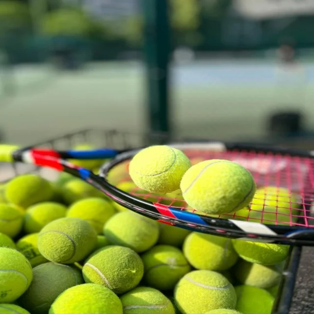 郑钦文硬地热身赛加练发球落点美网前景重新评估的关键观察 | Kaiyun